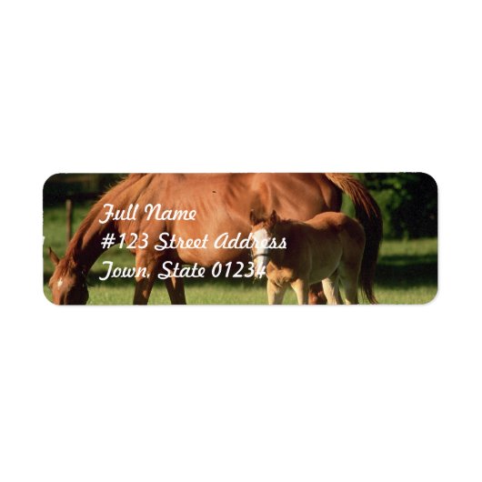Paard familie retouradres Mailinglabels Etiket (Voorkant)