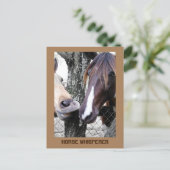 Paard fluistert twee paarden grappig fotografisch briefkaart (Staand voorkant)