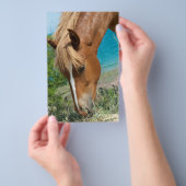 Paard Flyer (Hand)