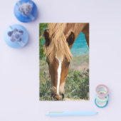 Paard Flyer (Enkel)