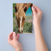 Paard Flyer (Hand)
