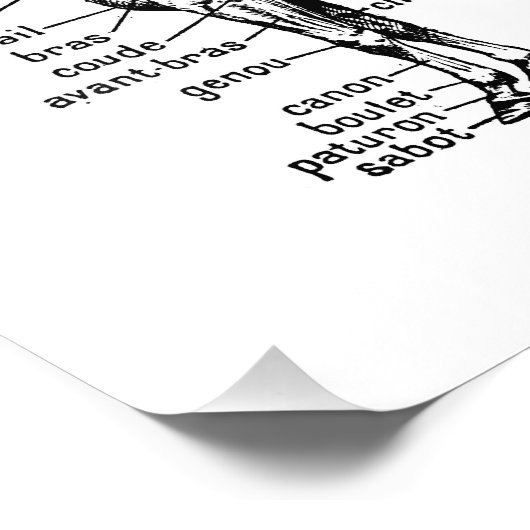 Paard Foto Afdruk (Hoek)