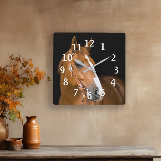 Paard Foto Bruin Wit Kwart Paard Genummerd Vierkante Klok