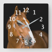 Paard Foto Bruin Wit Kwart Paard Genummerd Vierkante Klok (Voorkant)