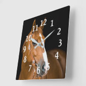 Paard Foto Bruin Wit Kwart Paard Genummerd Vierkante Klok (Hoek)