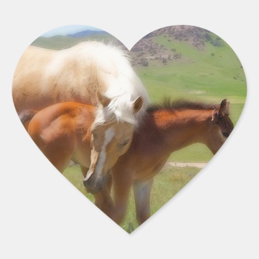 Paard foto merrie en veulen huis en keuken decor hart sticker (Voorkant)