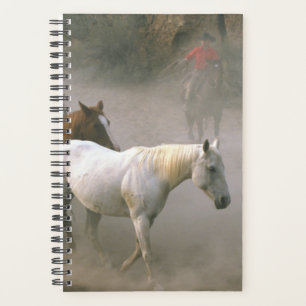 Paard Foto Paardachtige Cowboy Kuddehoeden Planner