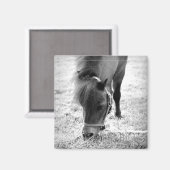 Paard Foto Tijdloze Keepsake Zwart Wit Pet Love Magneet (Voorkant / Achterkant)