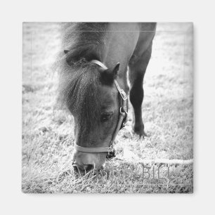 Paard Foto Tijdloze Keepsake Zwart Wit Pet Love Magneet