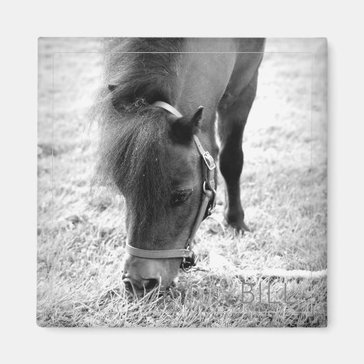 Paard Foto Tijdloze Keepsake Zwart Wit Pet Love Magneet (Voorkant)