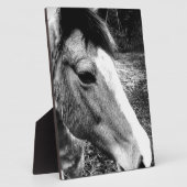 Paard Fotoplaat (Zijkant)