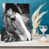 Paard Fotoplaat (Zijkant)