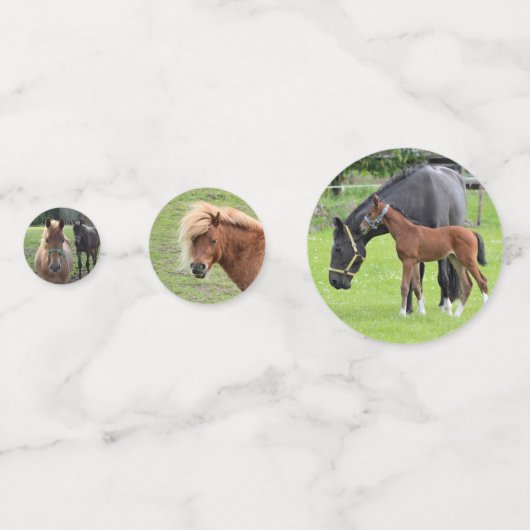 Paard Foto's tafel confetti (Voorkanten)