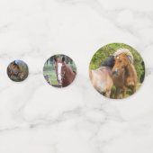 Paard Foto's tafel confetti (Achterkanten)