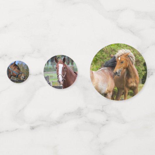 Paard Foto's tafel confetti (Achterkanten)