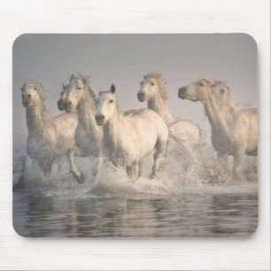 Paard galopperend in het Middellandse Zeewater Muismat