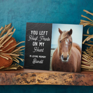 Paard Gedenkteken Aandenken Equestrisch Aangepaste Fotoplaat