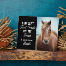 Paard Gedenkwaardigheid Equestrisch Aangepaste Fot