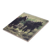 Paard getrokken apparatuur landbouw maken hooi tegeltje (Zijkant)