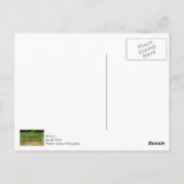 Paard getrokken hark briefkaart (Achterkant)