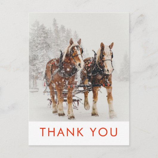 Paard getrokken slee Kerstscene Bedankt Briefkaart (Voorkant)