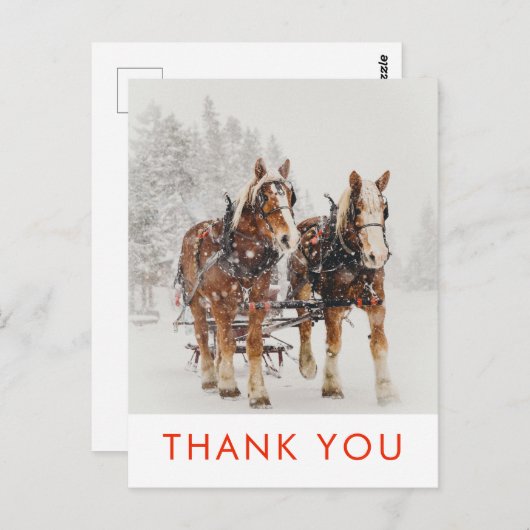 Paard getrokken slee kerstscène dank u briefkaart (Voorkant / Achterkant)