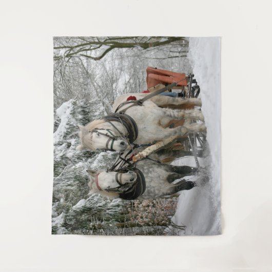 Paard getrokken slee rijden wandkleed (Voorkant)