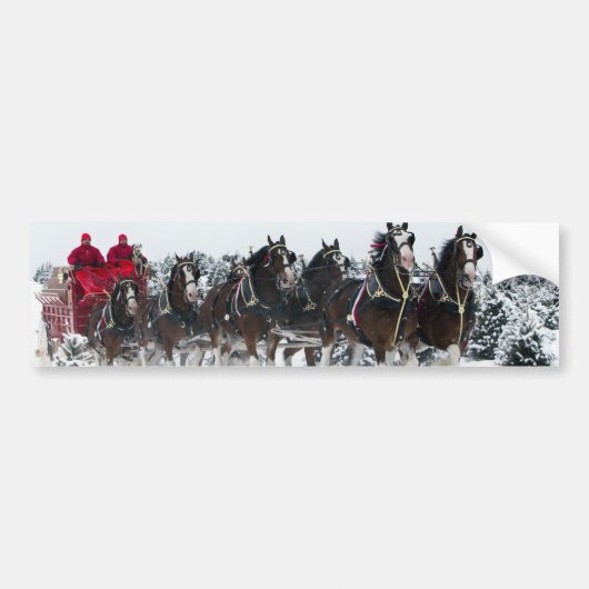 Paard getrokken slee rit bumpersticker (Voorkant)