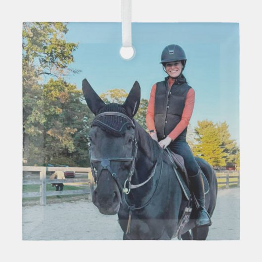 Paard glazen ornament speciale bestelling (Voorkant)
