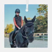 Paard glazen ornament speciale bestelling (Achterkant)