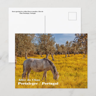 Paard grazen in een gele bloemen weide briefkaart