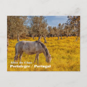 Paard grazen in een gele bloemen weide briefkaart (Voorkant)