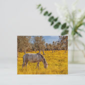 Paard grazen in een gele bloemen weide briefkaart (Staand voorkant)
