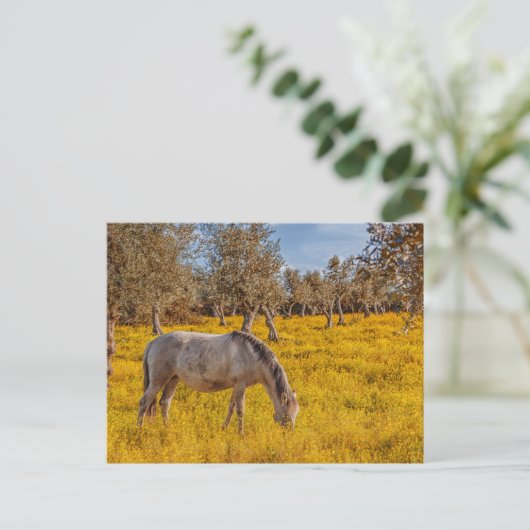 Paard grazen in een gele bloemen weide briefkaart (Staand voorkant)