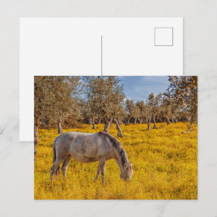 Paard grazen in een gele bloemen weide briefkaart