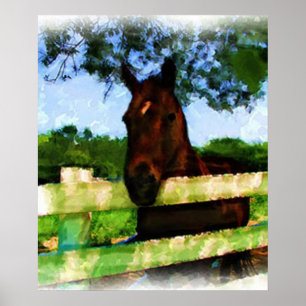 Paard Hallo Aquarel Poster
