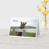 paard hallo kaart (Gele Bloem)