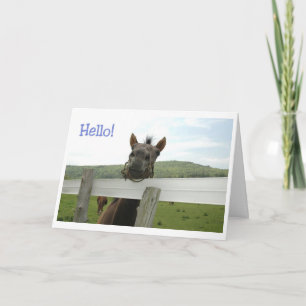 paard hallo kaart