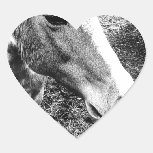 Paard Hart Sticker (Voorkant)