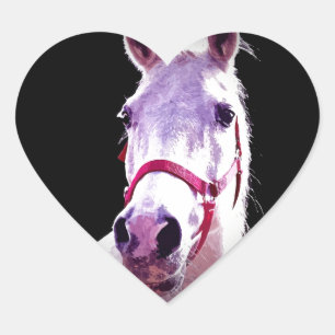 Paard Hart Sticker