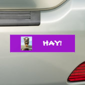 Paard, HAY. Bumpersticker (Op auto)