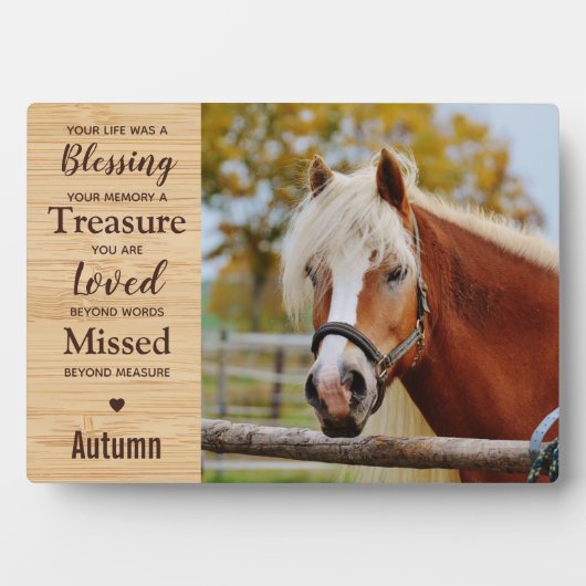 Paard Herdenkings- Ruiter Aandenken Fotoplaat (voorkant)