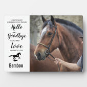 Paard Herdenkings Sieraad Condoleance Quote Paard Fotoplaat (voorkant)