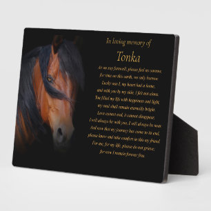 Paard Herdenkings Tribut Gedicht Aangepaste Naam Fotoplaat