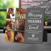 Paard Herdenkingsfoto Collage Fotoplaat