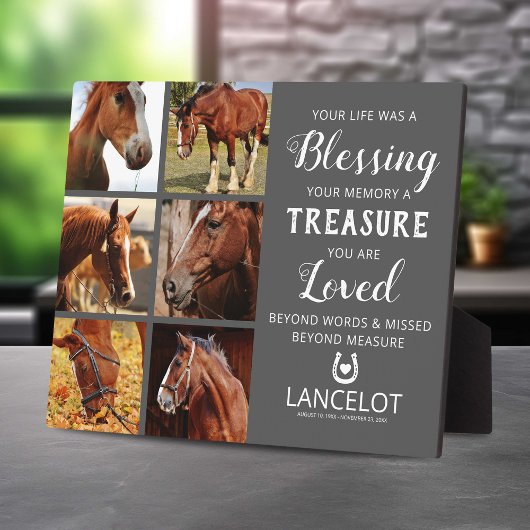 Paard Herdenkingsfoto Collage Fotoplaat