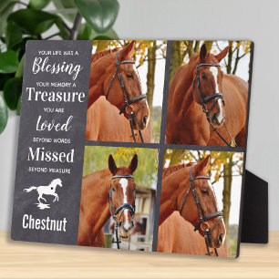 Paard Herdenkingsgeschenk Paard Verlies Condoleanc Fotoplaat