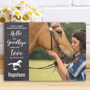 Paard Herdenkingsplaquette - Troost bij het verlie Fotoplaat