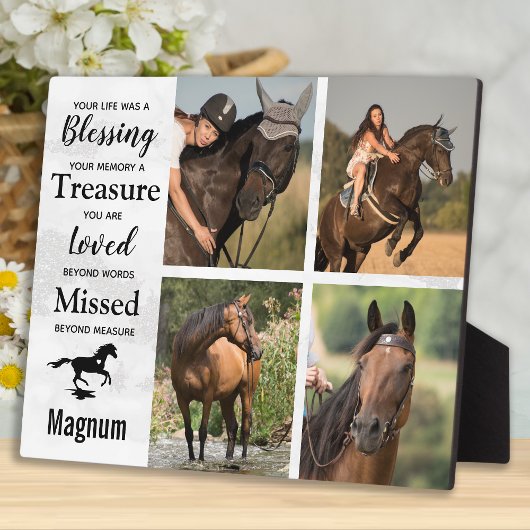 Paard Herdenkingssteen Huisdier Verlies Condoleanc Fotoplaat