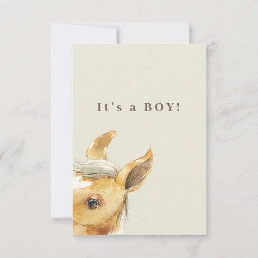 Paard het is een Boy Baby shower dank je Bedankkaart (Achterkant)